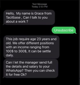 Report text